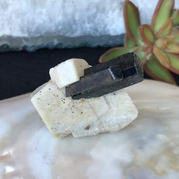 Aegirine on Orthoclase - Image 2
