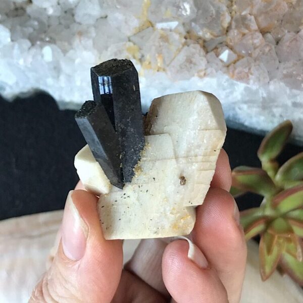 Aegirine on Orthoclase