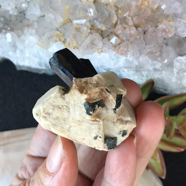 Aegirine on Orthoclase - Image 4