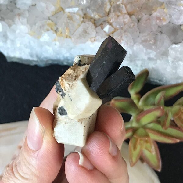 Aegirine on Orthoclase - Image 3