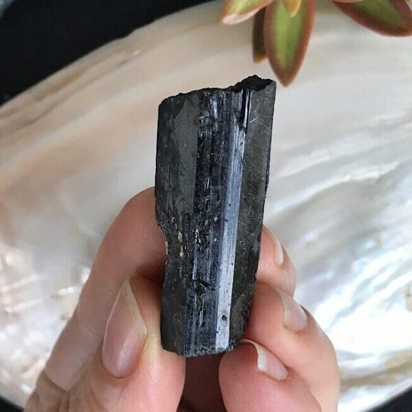 Aegirine Blade