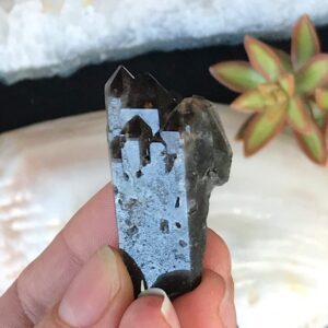 Elestial Smoky Quartz