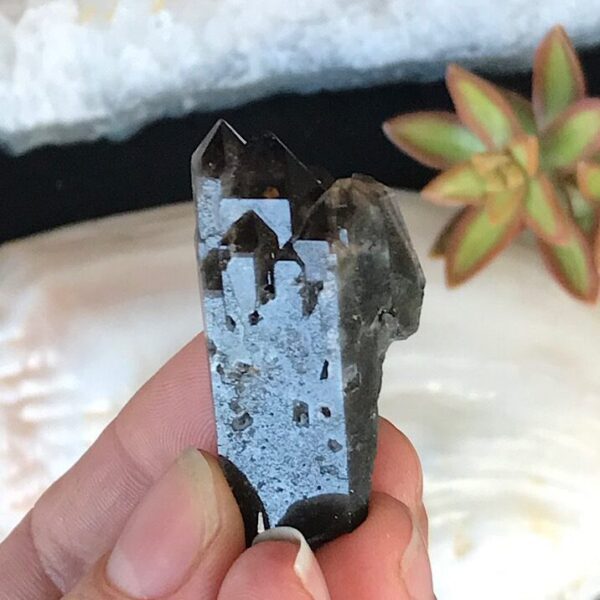 Elestial Smoky Quartz