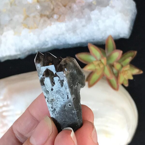 Elestial Smoky Quartz - Image 4