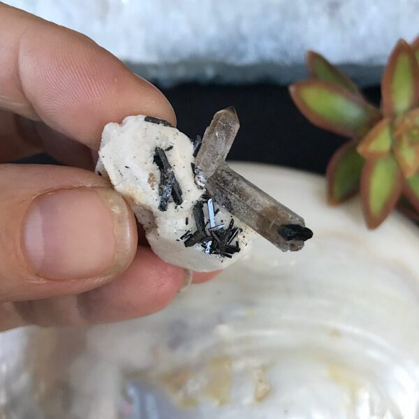 Aegirine on Orthoclase - Image 3