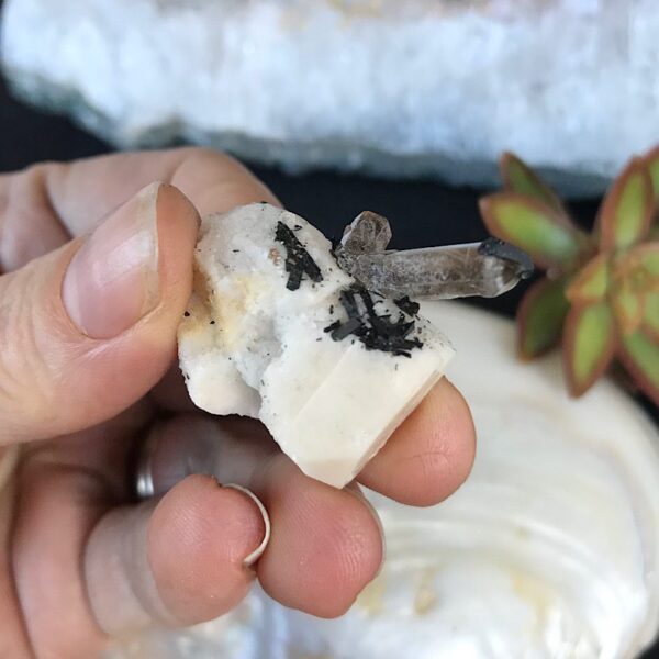 Aegirine on Orthoclase - Image 2