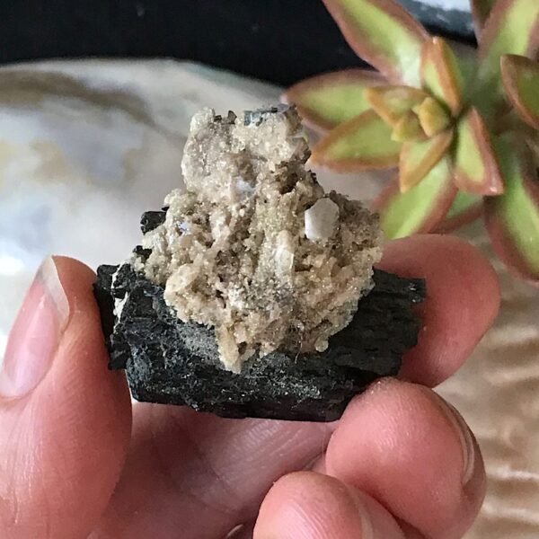 Aegirine with Smoky Quartz - Image 3