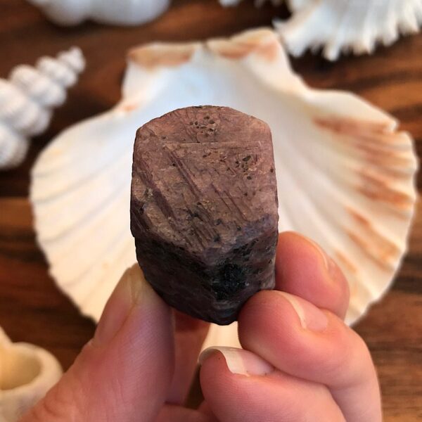 Raw Ruby Corundum - Record Keeper - Image 3