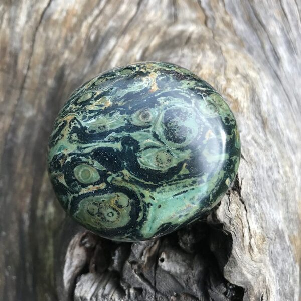 Kambaba Jasper Palm Stone - Image 2