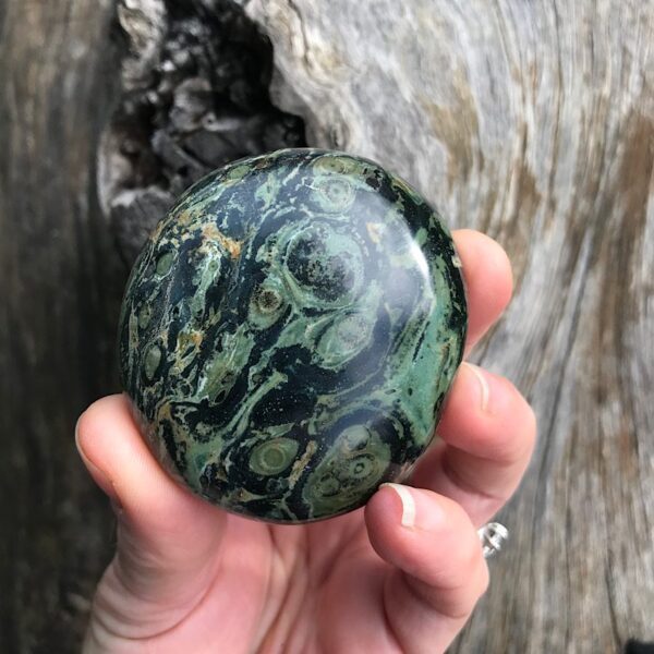 Kambaba Jasper Palm Stone - Image 3
