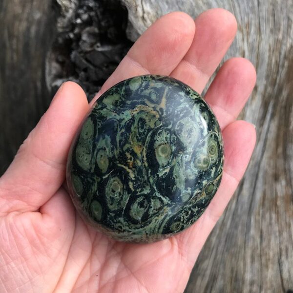 Kambaba Jasper Palm Stone