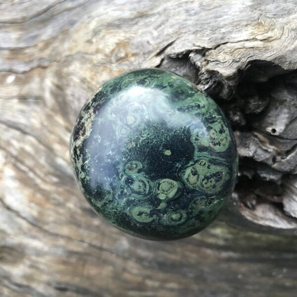 Kambaba Jasper Palm Stone - Image 2
