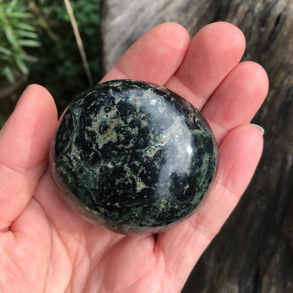 Kambaba Jasper Palm Stone - Image 3