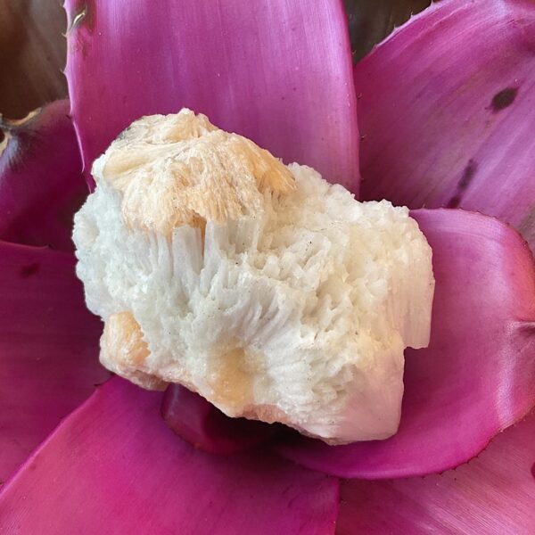 Peach Stilbite on Scolecite - Image 4