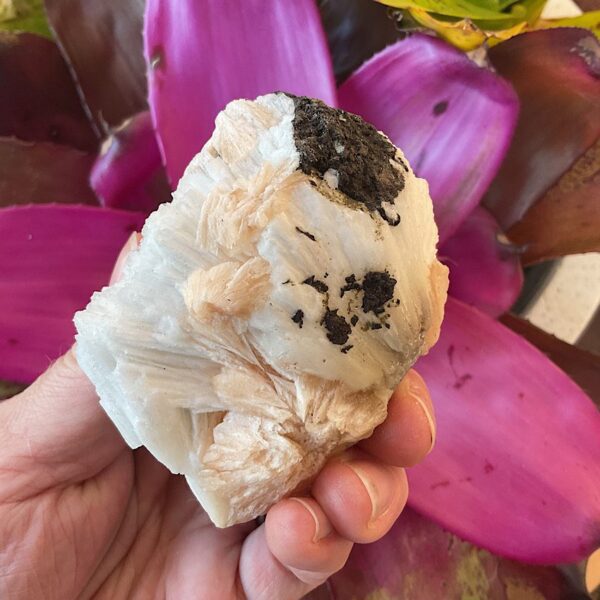 Peach Stilbite on Scolecite