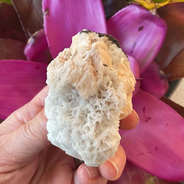 Peach Stilbite on Scolecite - Image 2