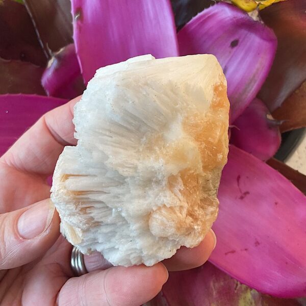 Peach Stilbite on Scolecite - Image 3