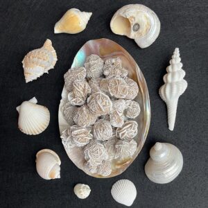 Desert Rose Cluster