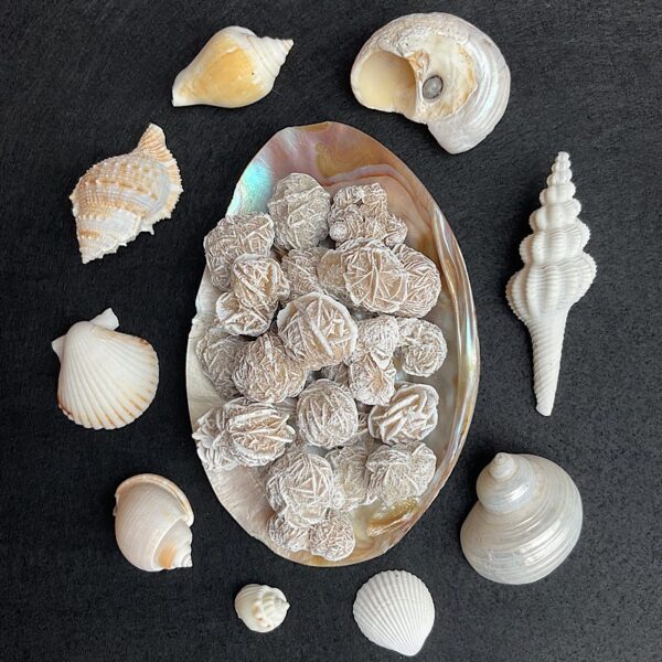 Desert Rose Cluster