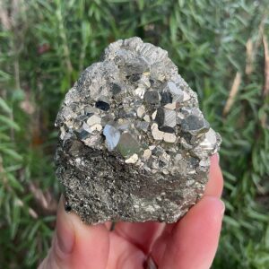 Chispa Pyrite Cluster