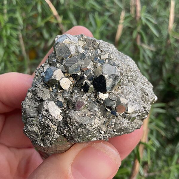 Chispa Pyrite Cluster - Image 4