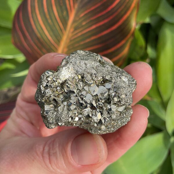 Chispa Pyrite Cluster - Image 3