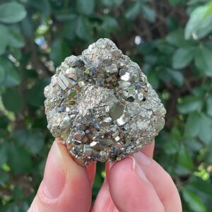 Chispa Pyrite Cluster