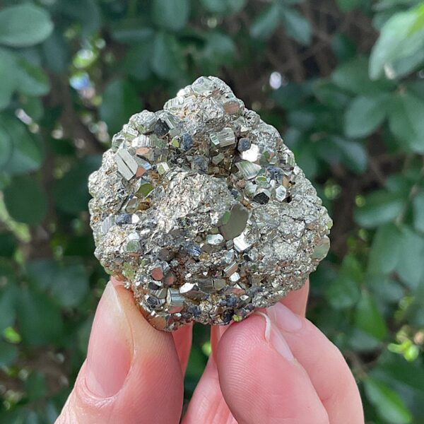 Chispa Pyrite Cluster