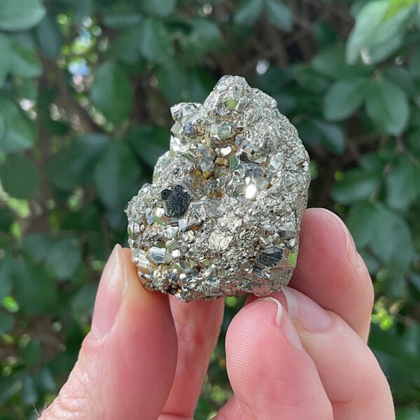 Chispa Pyrite Cluster - Image 3