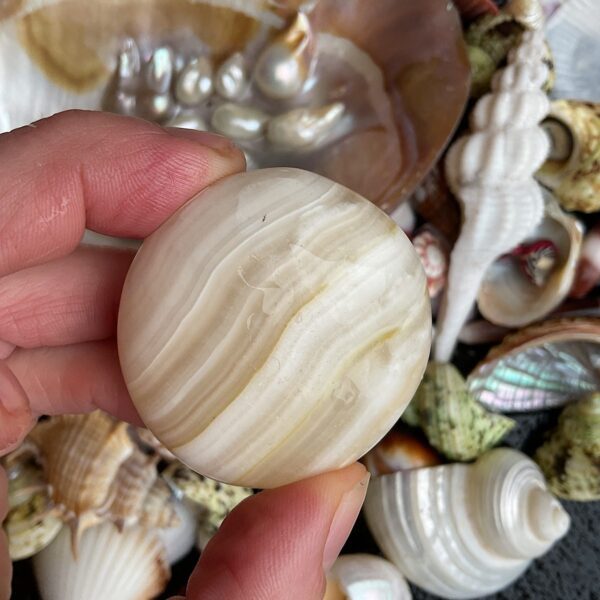Banded Caclite Palm Stone - Image 2