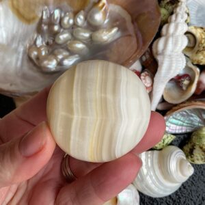 Banded Caclite Palm Stone