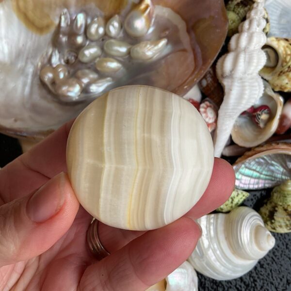 Banded Caclite Palm Stone