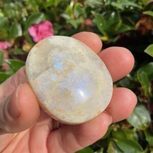 Rainbow Moonstone Palm Stone