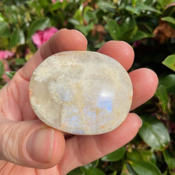 Rainbow Moonstone Palm Stone - Image 3