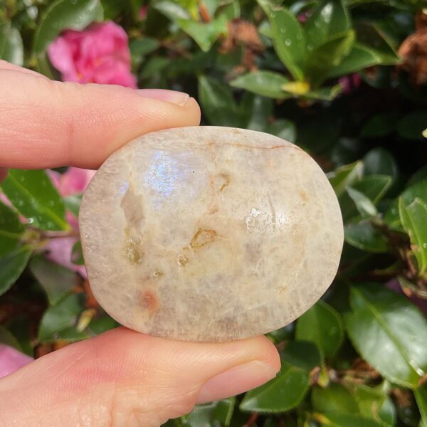 Rainbow Moonstone Palm Stone - Image 4
