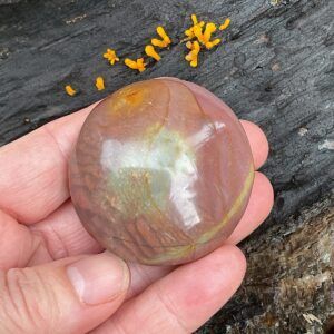 Polychrome Jasper Palm Stone