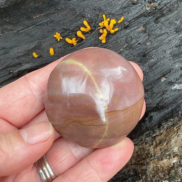 Polychrome Jasper Palm Stone - Image 2