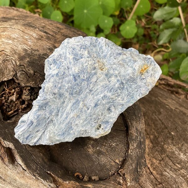 Blue Kyanite and Quartz