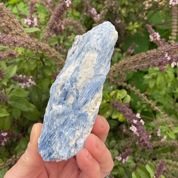 Blue Kyanite and Quartz