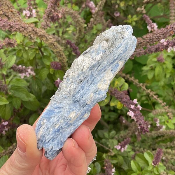 Blue Kyanite and Quartz - Image 2