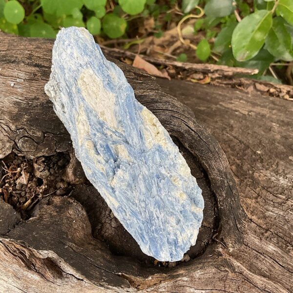 Blue Kyanite and Quartz - Image 4