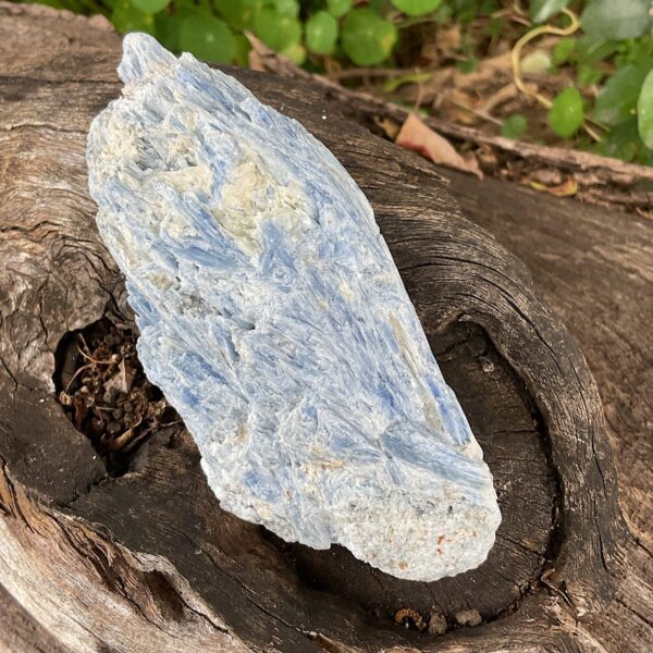 Blue Kyanite and Quartz - Image 4