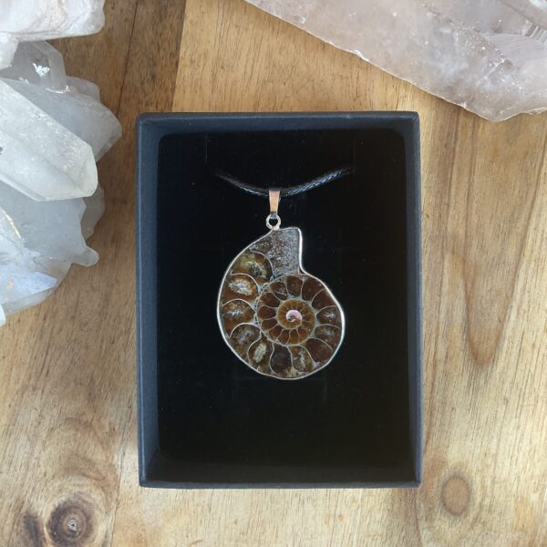 Ammonite Fossil Necklace