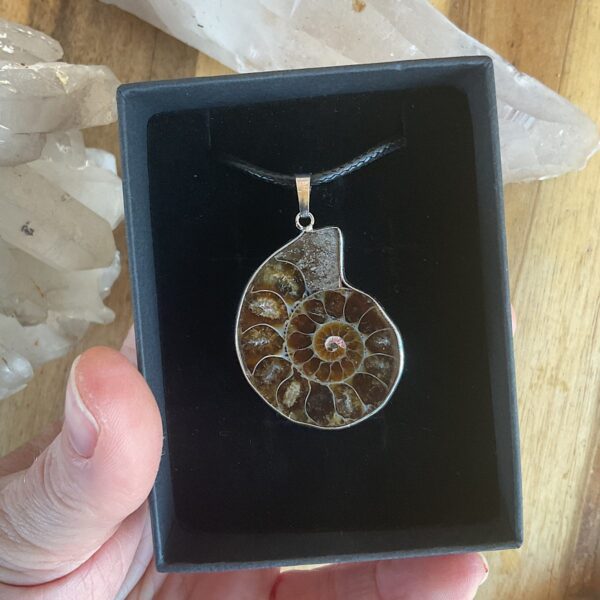 Ammonite Fossil Necklace - Image 2