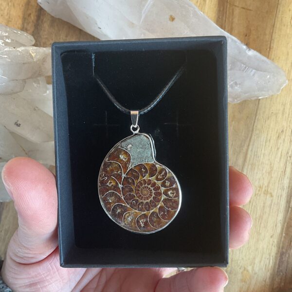 Ammonite Fossil Necklace - Image 2