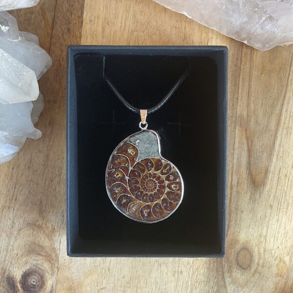 Ammonite Fossil Necklace