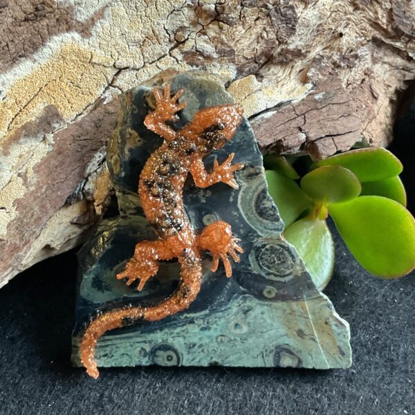 Lizard on Kambaba Jasper