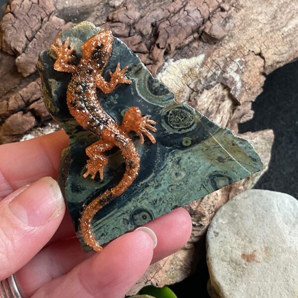 Lizard on Kambaba Jasper - Image 4