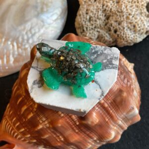 Turtle on Howlite