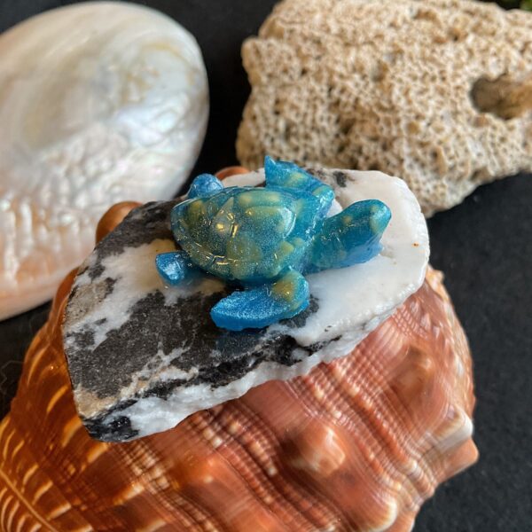 Turtle on Zebra Stone